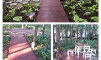 Red Wood Art Color Wood Plastic Composite Floor For Forest Park