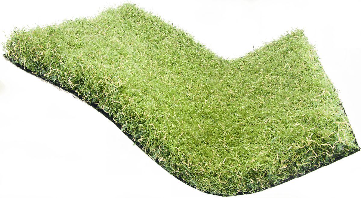 Comfort Elite Artificial Grass Spark Homes 6928