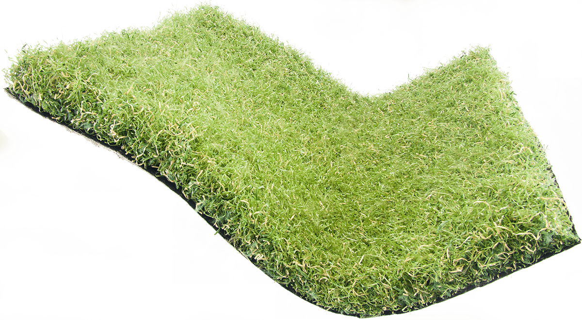 Comfort Plus Artificial Grass Spark Homes
