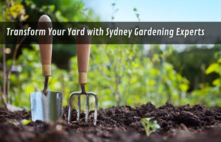 Sydney Gardening Experts